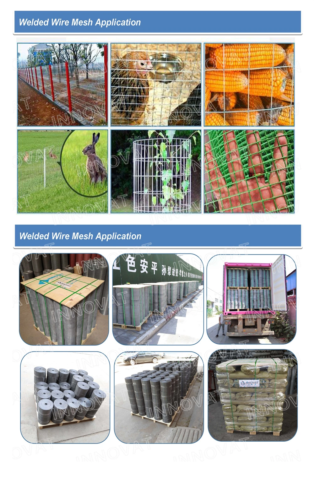 Concrete Reinforcing Roll Galvanized Welded Wire Mesh /Galvanized 2 X 2 Welded Iron Wire Mesh/Welded Wire Netting