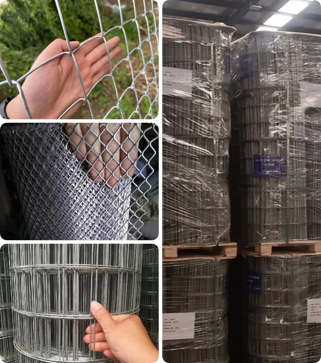 Factory Direct Sell 11 Gauge Galvanized Welded Wire Mesh/ Non Galvanized Welded Wire Mesh Fencing/ 8 Gauge Galvanized 2 X 2 Welded Wire Mesh