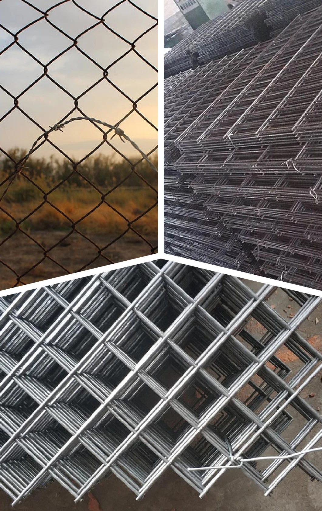 Factory Direct Sell 11 Gauge Galvanized Welded Wire Mesh/ Non Galvanized Welded Wire Mesh Fencing/ 8 Gauge Galvanized 2 X 2 Welded Wire Mesh