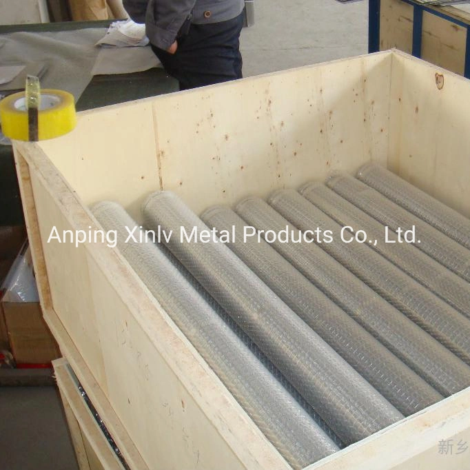 Galvanized Steel/Stainless Steel 1/2 Inch 4X50FT Roll Square Mesh PVC Coated Gi Wire Welded Metal Wire Mesh