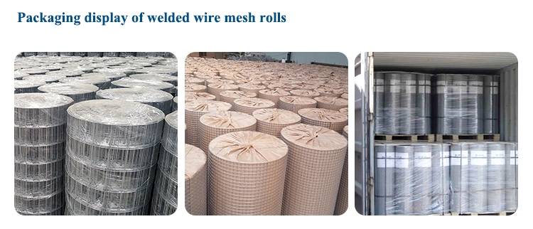 Wholesale Cheap Price 1/4 Inch Welded Rabbit Cage Wire Mesh for Chicken Coop Cage