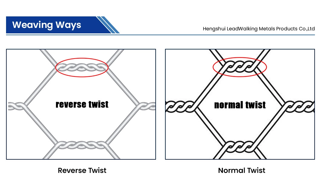 Leadwalking Mild Steel Wire Material PVC Coated 36 X 150 Poultry Netting Manufacturing China 4 Inch Mesh Coated Hexagonal Galvanized Iron Wire Mesh