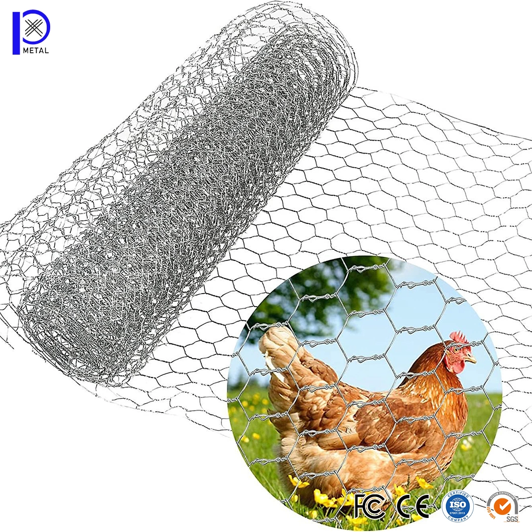 Pengxian 1 2 Inch Mesh Chicken Wire China Manufacturers 5/8 Inch 16mm Metal Hex Mesh Used for Wire Mesh Rabbit Fencing