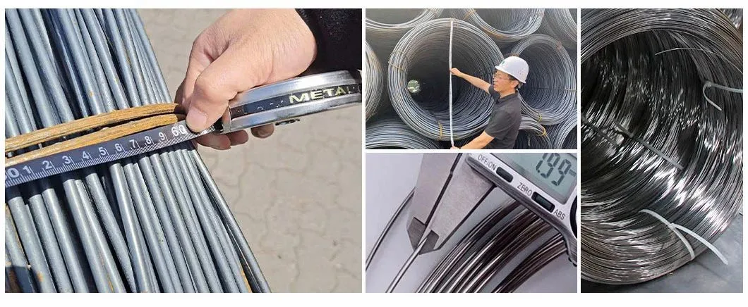 Stainless Steel Wire Rod Galvanized Steel Wire 0.7mm 0.8mm 1.2mm 1.6mm 1.8mm 2mm Diameter Galvanized Steel Wire with Abundant Stock