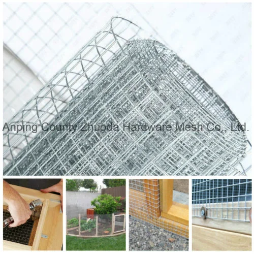 Hot Dipped Galvanized After Welding 1/4 Mesh Chicken Rabbit Pigeon Wire Mesh