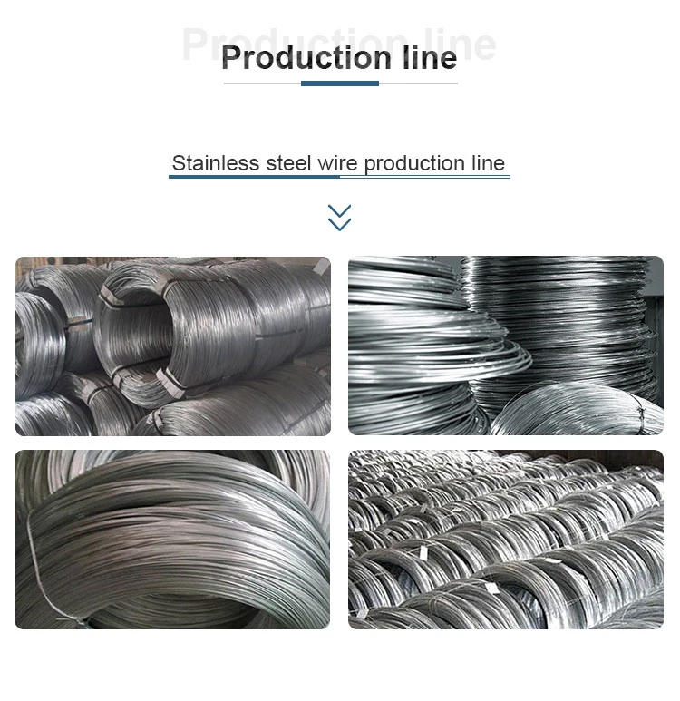 Stainless Steel Iron Galvanized Carbon Steel Metal Round Wire Cold Drawn MIG Welding AISI 201 301 304 304L 316 316L Ss Coil Rod Strip Strap Bright 0.09mm 0.13mm