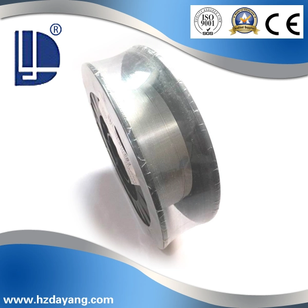 Manufacturing S S Welding Wire Er309LSI 1mm Welding Wire