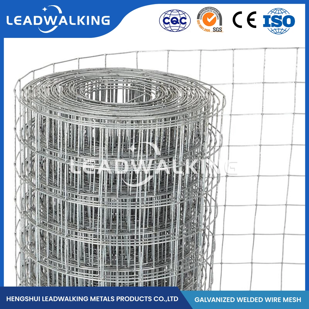 Leadwalking Galvanized Welded Mesh Rolls Factory Sample Available Welding Net China 0.5-3.0mm Wire Thickness Best Price Galvanized Welded Wire Mesh