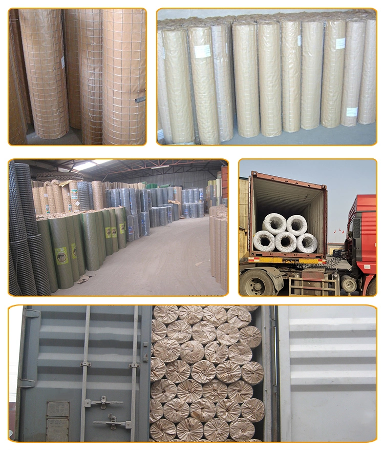 Small Gauge Welded Plant Galvanized Stainless Steel Flux Cored Welded Wire Mesh