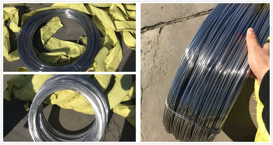 304 316 201 316lvm 430 420 Er308L 309S Bright/ Tinny/Spring/Welding Stainless Steel Wire in Tianjin