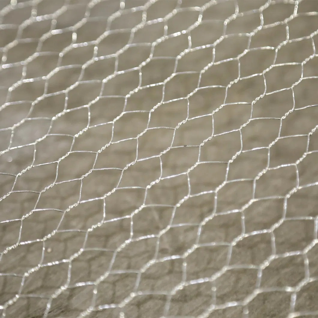 Galvanized Welded Wire Mesh /Stainless Steel/PVC Coated Hexagonal Wire Mesh