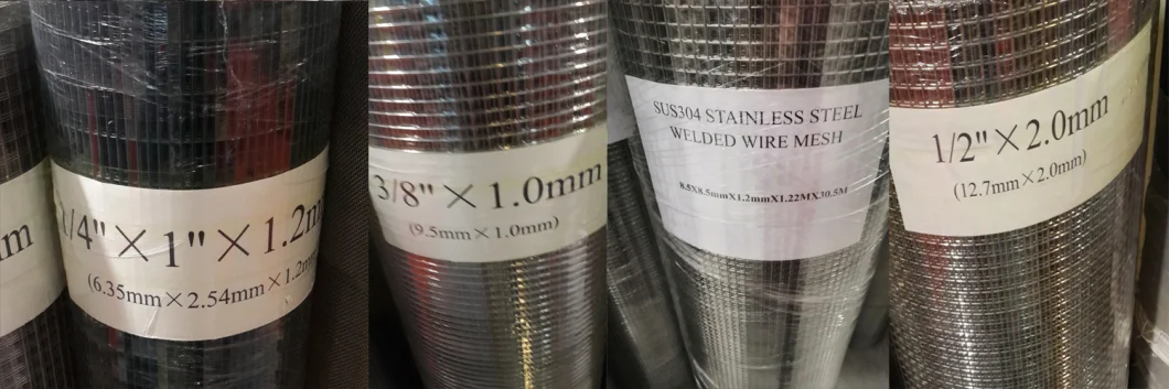 Galvanized/SUS304/SUS316 Stainless Steel Welded Wire Mesh for Wire Mesh Basket