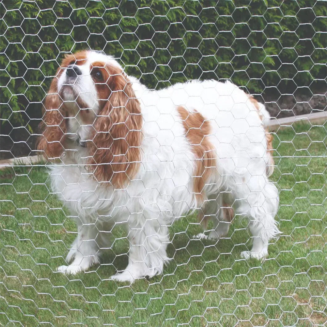 Pengxian 1 2 Inch Mesh Chicken Wire China Manufacturers 5/8 Inch 16mm Metal Hex Mesh Used for Wire Mesh Rabbit Fencing