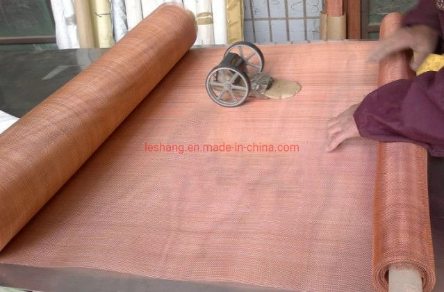 Galvanized /Stainless Steel Wire Mesh/Mild Steel cloth for Filtering