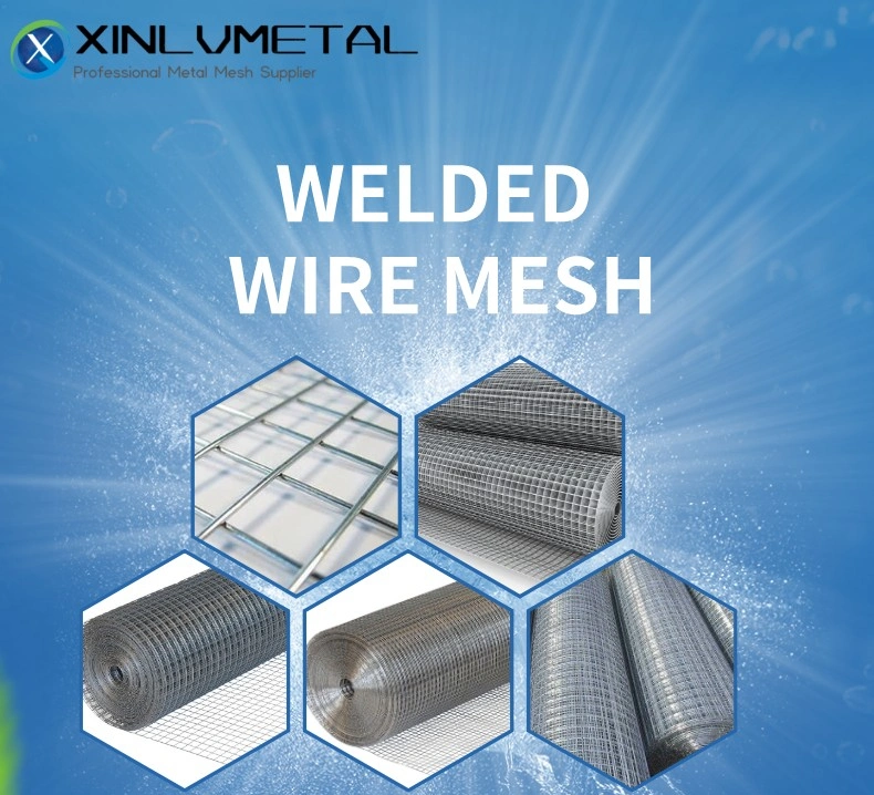 Galvanized Steel/Stainless Steel 1/2 Inch 4X50FT Roll Square Mesh PVC Coated Gi Wire Welded Metal Wire Mesh