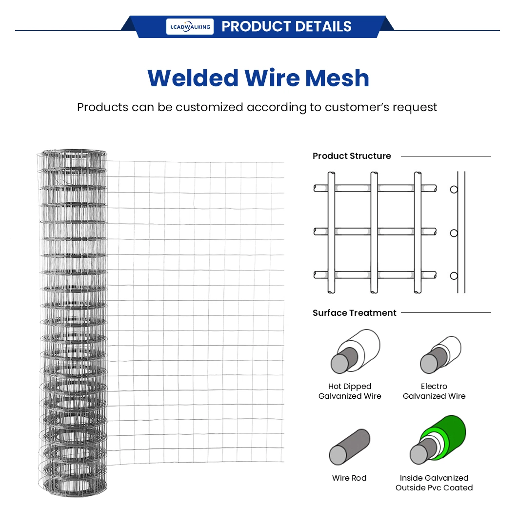 Leadwalking Galvanized Welded Mesh Rolls Factory Sample Available Welding Net China 0.5-3.0mm Wire Thickness Best Price Galvanized Welded Wire Mesh