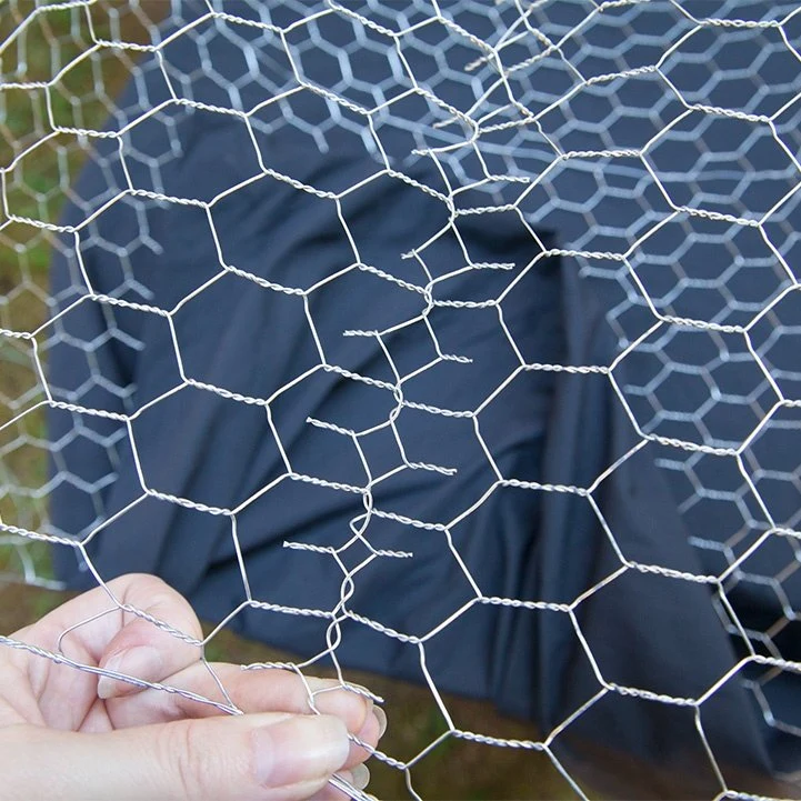 Black Vinyl Coated Chicken Wire Fencing/PVC Coated Chicken Wire/Chicken Wire