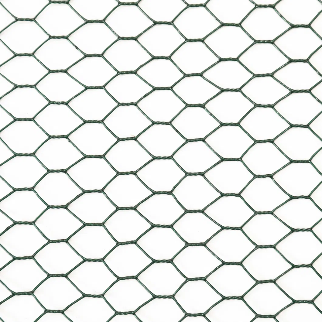 Galvanized Welded Wire Mesh /Stainless Steel/PVC Coated Hexagonal Wire Mesh