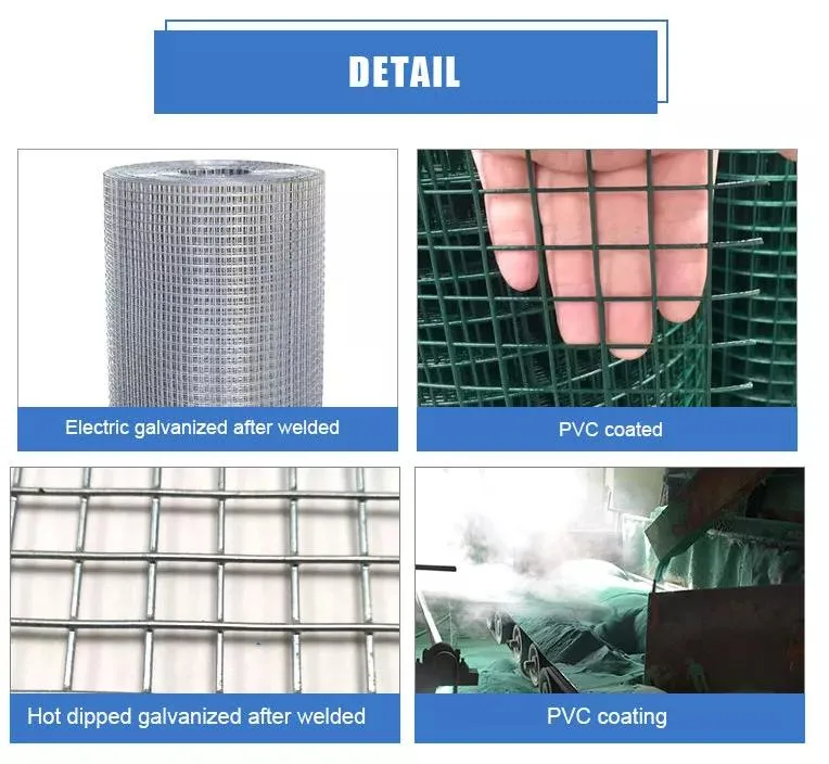 Galvanised After Welding 2 X 2 Zinc Coating Galvanized Welded Wire Mesh