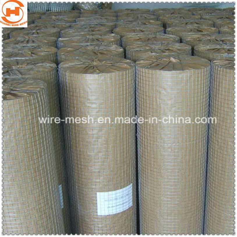 1/5 Galvanized/Stainless Steel Welded Wire Mesh