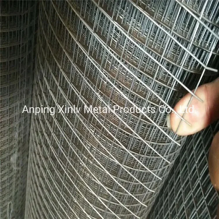 Galvanized Steel/Stainless Steel 1/2 Inch 4X50FT Roll Square Mesh PVC Coated Gi Wire Welded Metal Wire Mesh