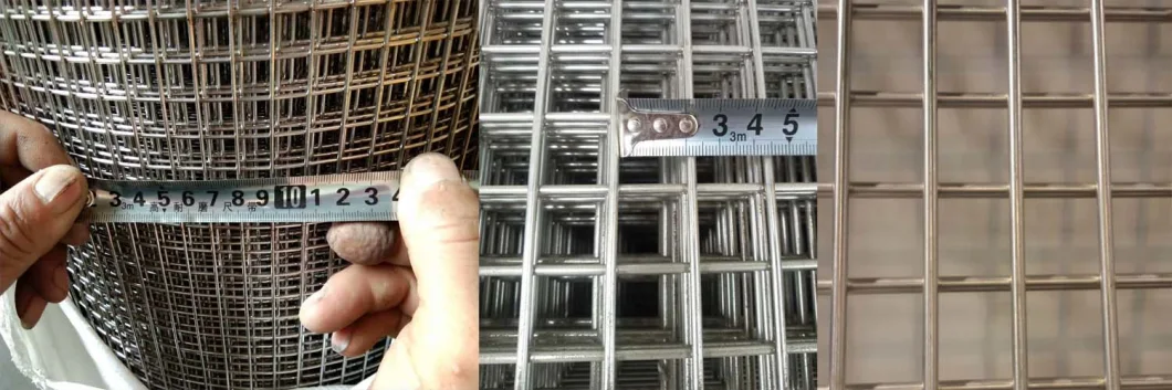 Galvanized/SUS304/SUS316 Stainless Steel Welded Wire Mesh for Wire Mesh Basket