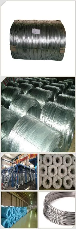 Er308 Er309 Er316L Ss Welding Stainless Steel Wire for Sale