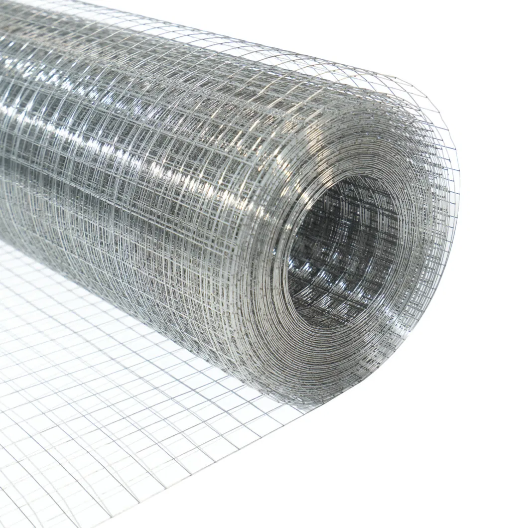 1/2 Inch PVC Coated Welded Wire Mesh for Agrictulture for Farm Protection