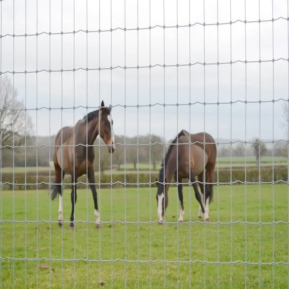 Yeeda Thick Wire Mesh Fencing China Manufacturers Wire Mesh 2 X 2 4.0mm - 9.0mm Diameter Galvanized Steel Farm Fence Hinged Knot Fence