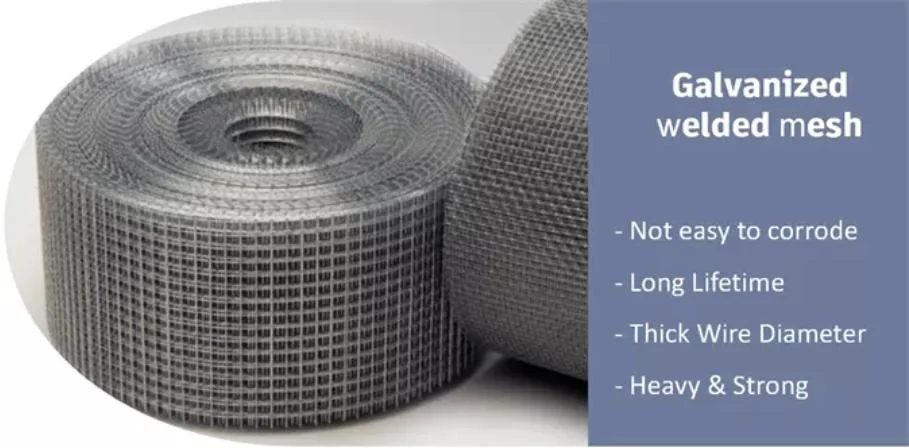 Wholesale Cheap 1/4 Inch Welded Rabbit Cage Wire Mesh Price for Cage