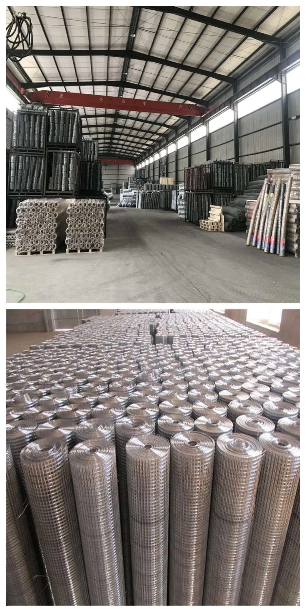 Inch 10 Gauge Galvanized 6X6 Reinforcing Welded Wire Mesh