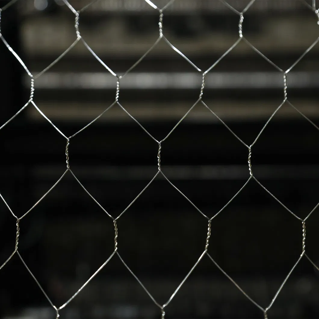 Galvanized Welded Wire Mesh /Stainless Steel/PVC Coated Hexagonal Wire Mesh