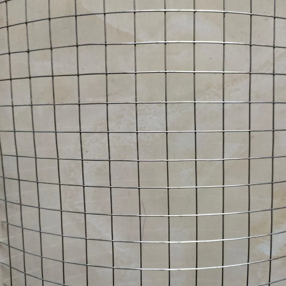 1/2 Inch PVC Coated Welded Wire Mesh for Agrictulture for Farm Protection