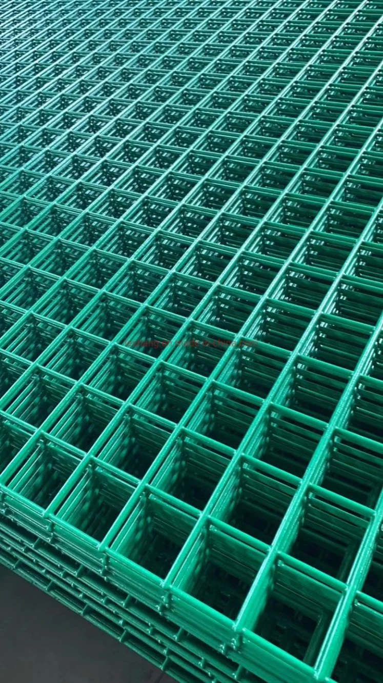 Galvanized /PVC-Coated /Stainless Steel Welded Wire Mesh for Fencing