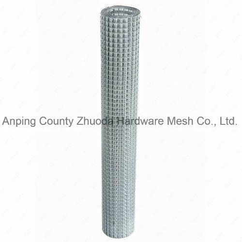 Hot Dipped Galvanized After Welding 1/4 Mesh Chicken Rabbit Pigeon Wire Mesh