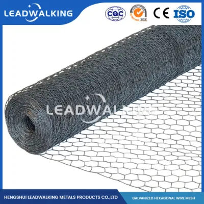  Leadwalking Cina filo di pollo 72 X 50 fornitori acciaio dolce Materiale del filo rete esagonale DIP a maglia da 1-1/4 poll