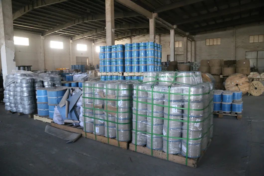 Wholesale Paralle Laid Fibre Core 6X12+7FC/6X24+FC / 6X19+FC / 6X37+FC Galvanized Spring Steel Wire