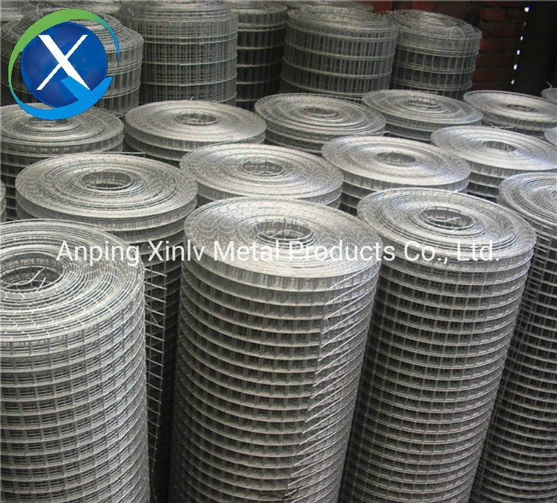 Galvanized Steel/Stainless Steel 1/2 Inch 4X50FT Roll Square Mesh PVC Coated Gi Wire Welded Metal Wire Mesh