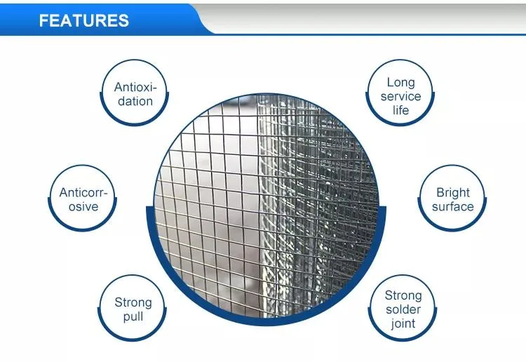 Galvanised After Welding 2 X 2 Zinc Coating Galvanized Welded Wire Mesh