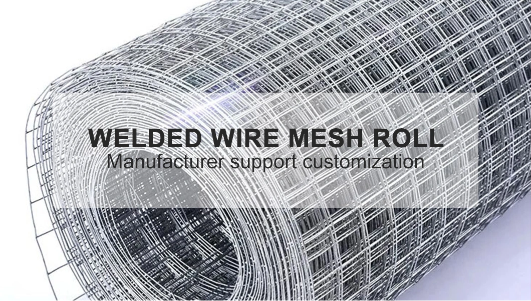 Wholesale Cheap 1/4 Inch Welded Rabbit Cage Wire Mesh Price for Cage