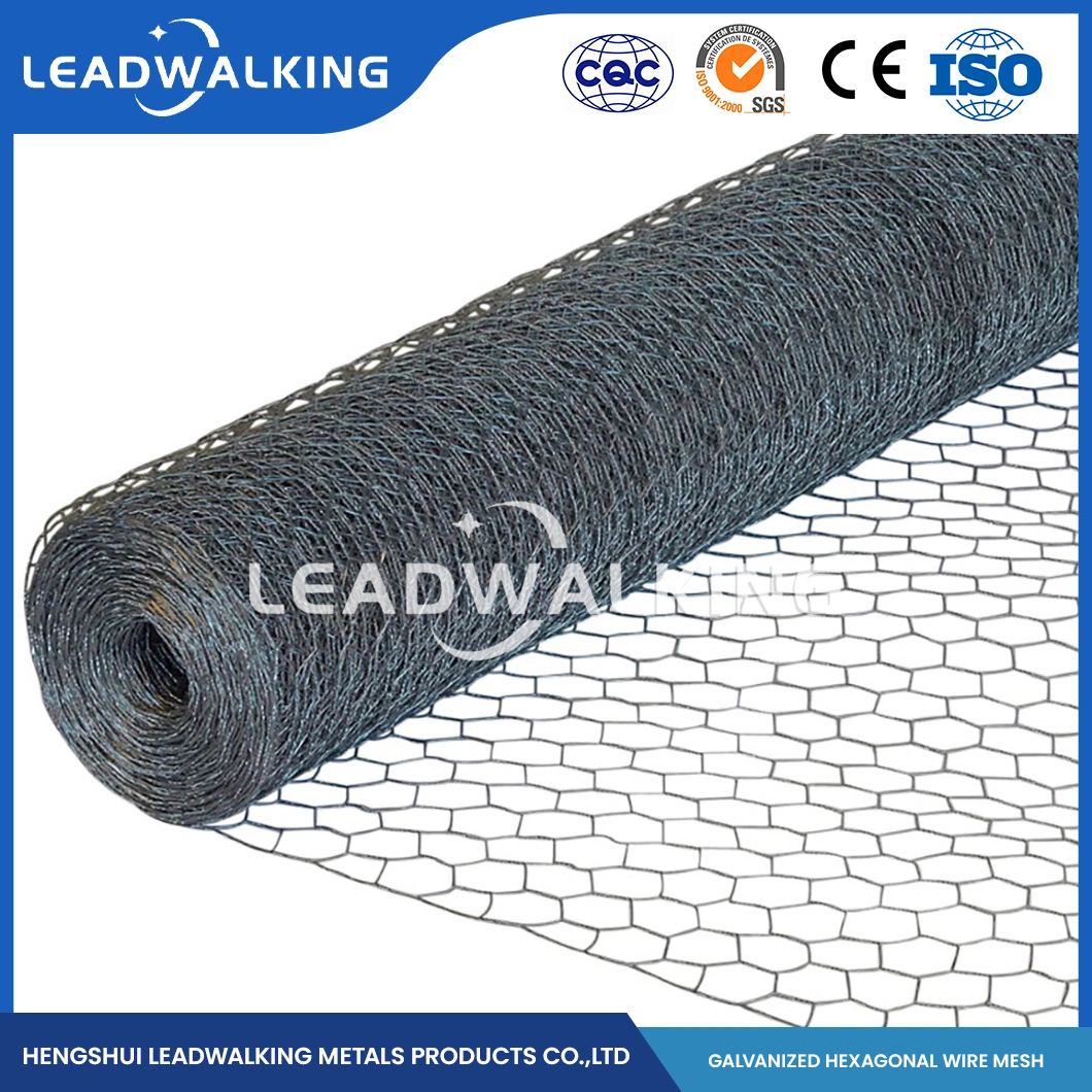 Leadwalking China Chicken Wire 72 X 50 Suppliers Mild Steel Wire Material 1-1/4inch Mesh DIP Hexagonal Net