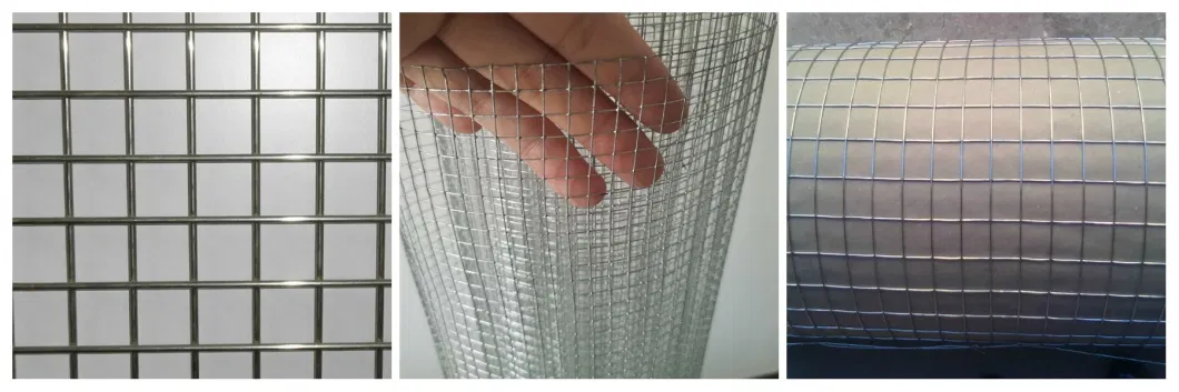 Inch 10 Gauge Galvanized 6X6 Reinforcing Welded Wire Mesh