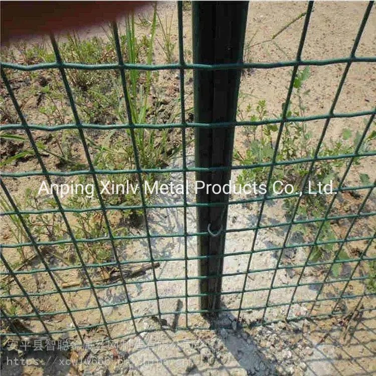 Galvanized Steel/Stainless Steel 1/2 Inch 4X50FT Roll Square Mesh PVC Coated Gi Wire Welded Metal Wire Mesh