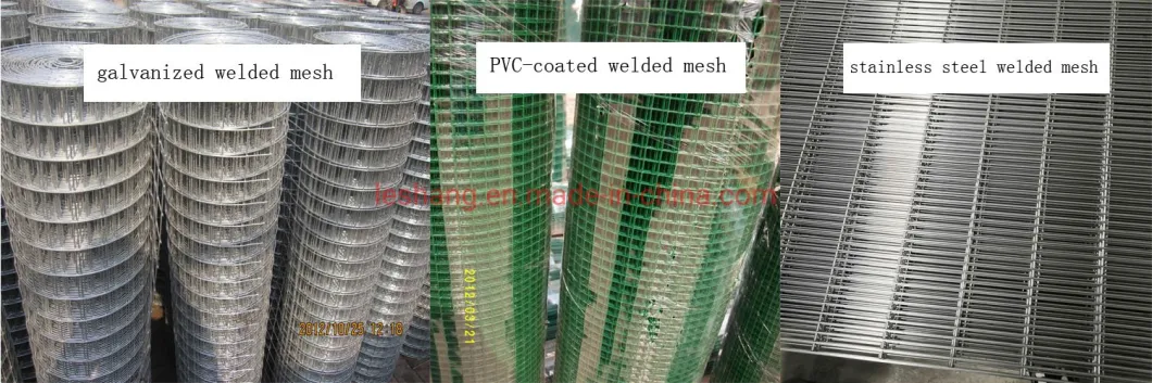 Galvanized /PVC-Coated /Stainless Steel Welded Wire Mesh for Fencing