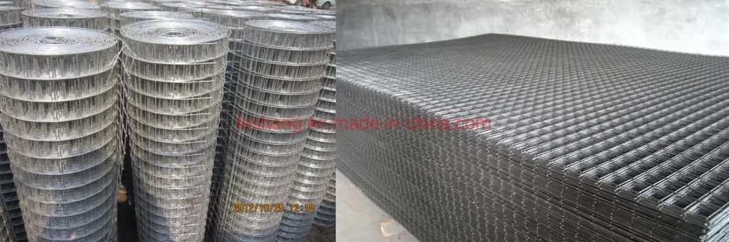 Galvanized /PVC-Coated /Stainless Steel Welded Wire Mesh for Fencing