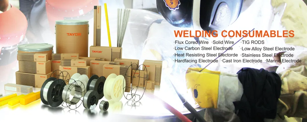 Flux Cored Welding Wire E71t-1 0.9mm