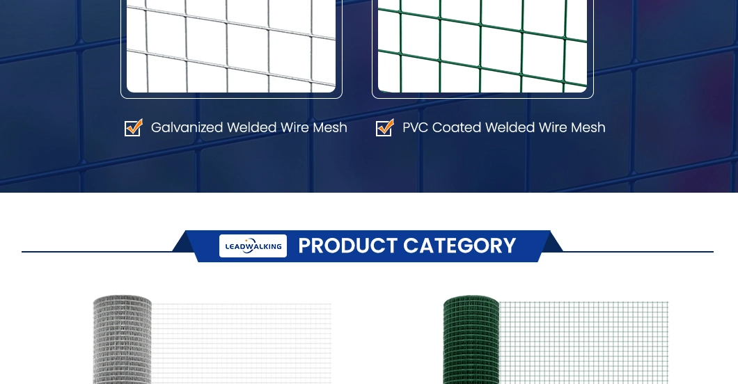 Leadwalking Galvanized Welded Mesh Rolls Factory Sample Available Welding Net China 0.5-3.0mm Wire Thickness Best Price Galvanized Welded Wire Mesh