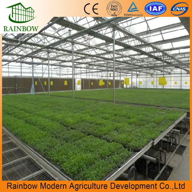 Agricultural Greenhouse Ebb and Flow Rolling Seedbed