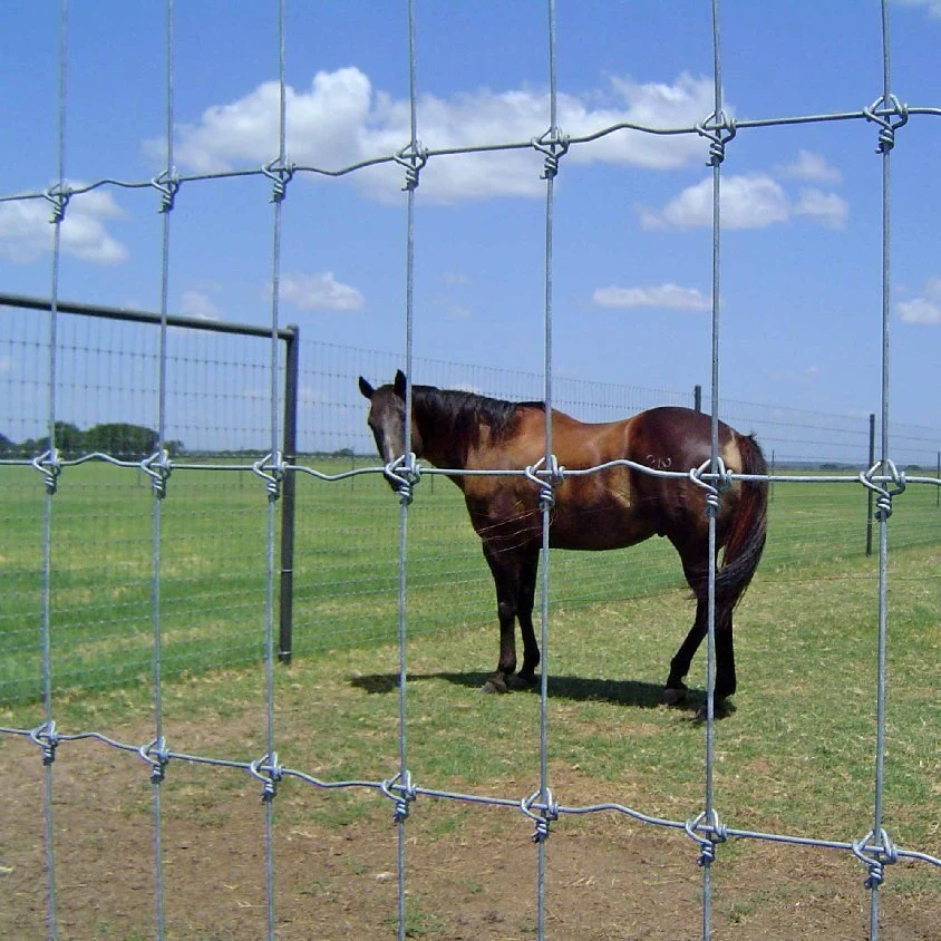 Yeeda Thick Wire Mesh Fencing China Manufacturers Wire Mesh 2 X 2 4.0mm - 9.0mm Diameter Galvanized Steel Farm Fence Hinged Knot Fence