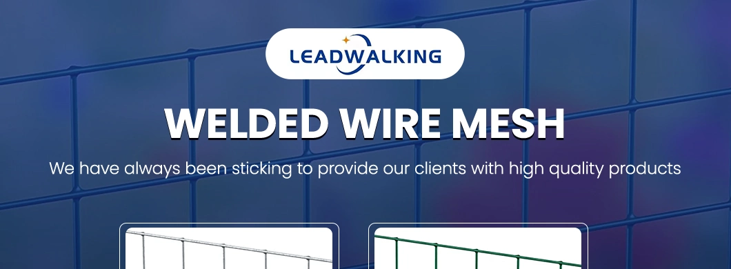 Leadwalking Galvanized Welded Mesh Rolls Factory Sample Available Welding Net China 0.5-3.0mm Wire Thickness Best Price Galvanized Welded Wire Mesh